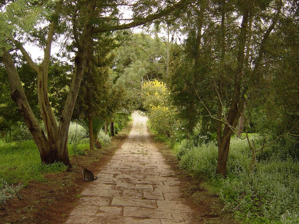 Casa Romana Park 03