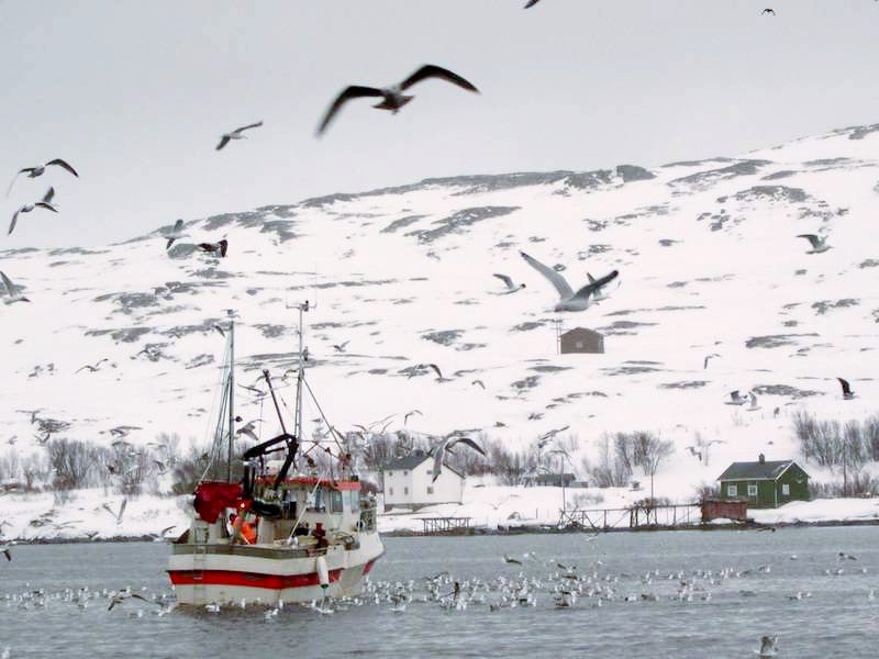 Nervei - boat