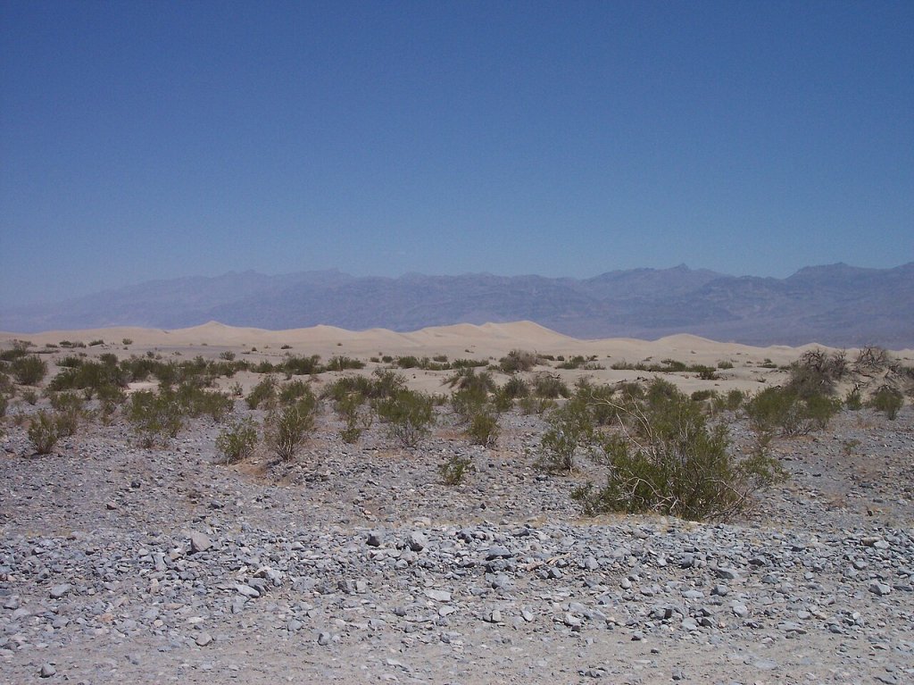 Sand dunes in Death Valley National Park - DraxFelton