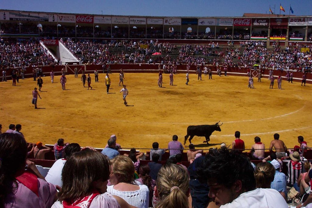 Plaza de Toros de Haro - Suelta de Vaquillas despues de Batalla del Vino
