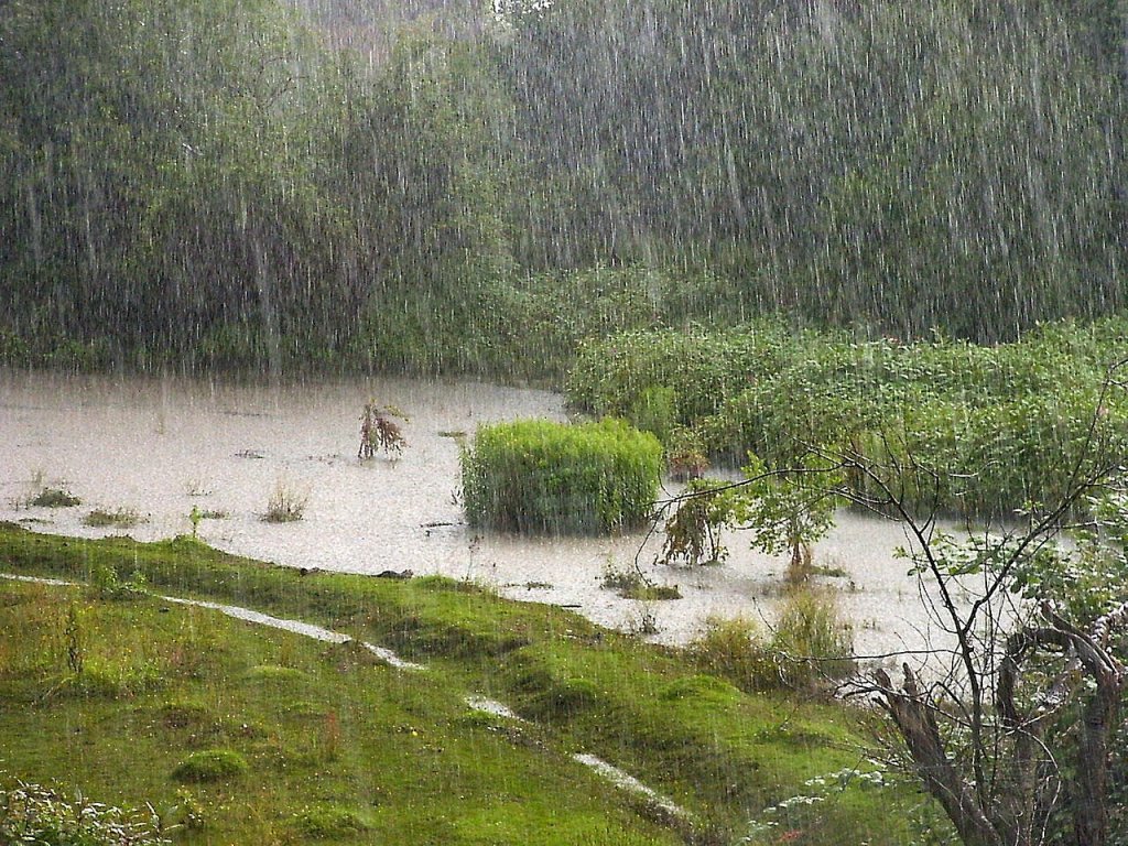 Rain on the field