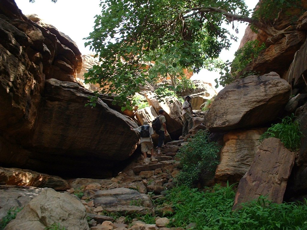 July 2004, Pays Dogon