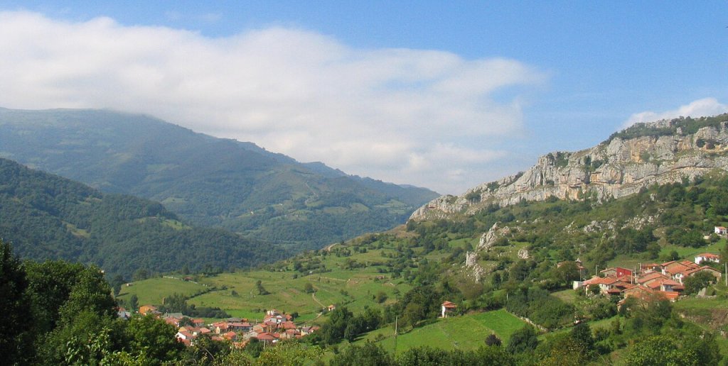 Pelugano