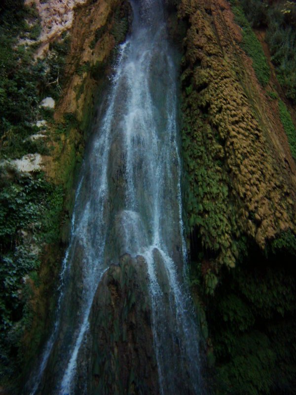 Zakhoshranshs