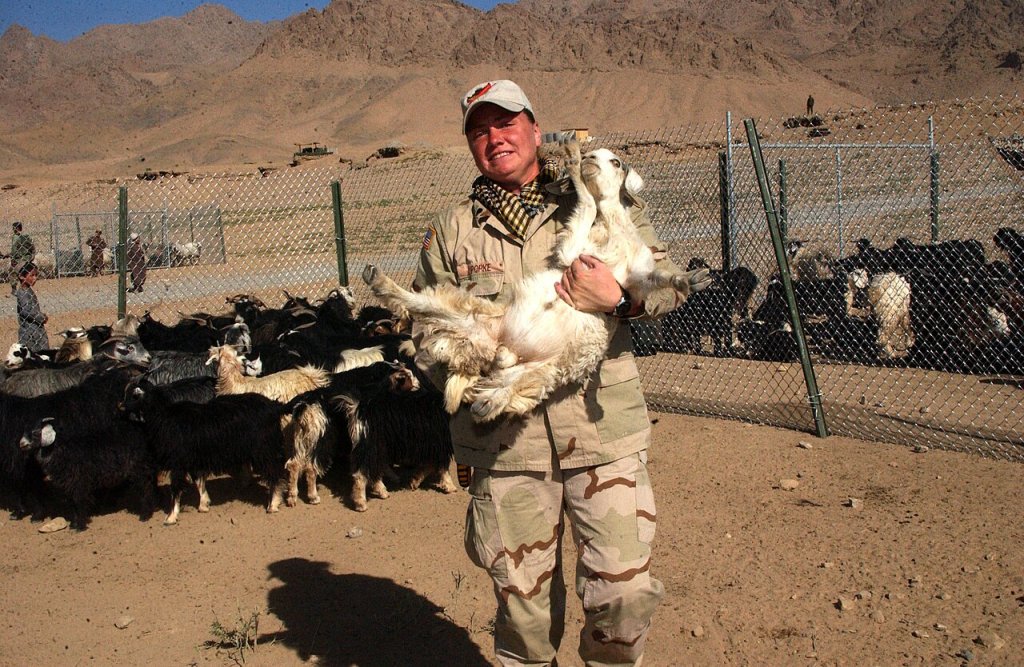 Defense gov News Photo