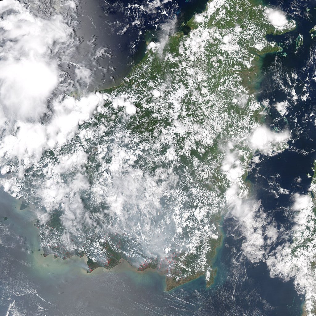 Fires on Borneo and Sumatra