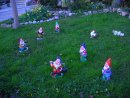 Garden dwarves