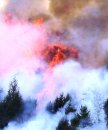 A large wildfire with billowing smoke and high flames burns through a forest