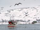 Nervei - boat