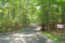 Entrance to Camp 3