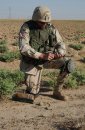 Defense gov News Photo