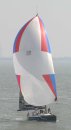 Bear of Britain from downwind